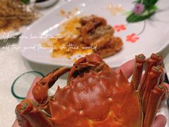 -大东海海鲜酒楼(渔人码头总店)