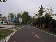 -沙澧河风景区
