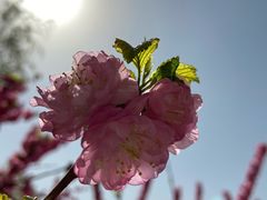 -大兴滨河森林公园