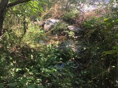 -封龙山风景区