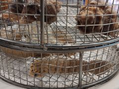 -海味当家(西安路店)