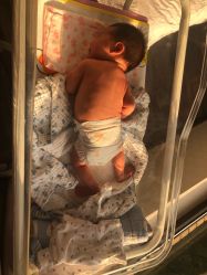 -海豚湾高端月子会所(黄浦店)