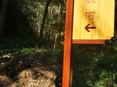 -老象峰