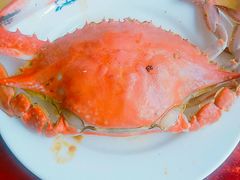 -春华海鲜城(广场西苑店)