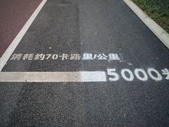 -南宁南湖公园