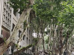 -东南大学(四牌楼校区)