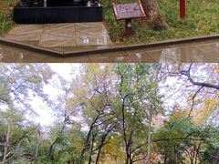 -子昂故里文化旅游区