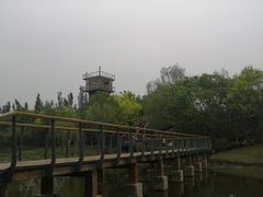 -东郊湿地公园