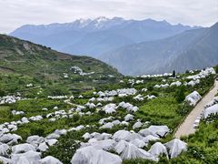 -萝卜寨羌文化生态旅游区