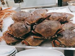-丰卓会海鲜自助(中润大道店)