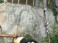 -深圳野生动物园