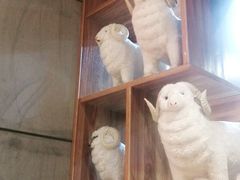 -九府羊鲜羊火锅·烧烤(任丘东风美食街店)