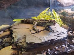 -Zoolung Zoolung动物主题公园(海信广场店)