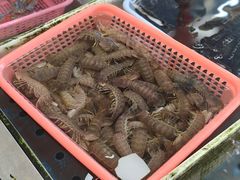 -南沙十九涌渔人码头-南门