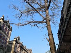 -赤坎·广东华侨国际旅游度假区