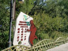 -文瀛公园