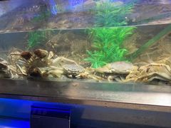 -V-ONE西雅图海鲜自助餐厅(仓山万达广场店)