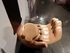 -东京塔海贼王主题公园