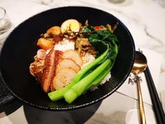 -MR鹅外