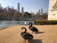 -行者书屋大堂吧 ·下午茶(南京圣和府邸酒店)