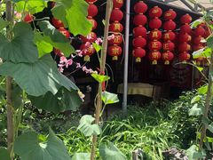 -姥家大锅台水库渔家
