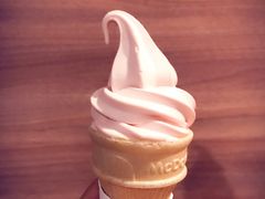 -麦当劳(新王府井店)