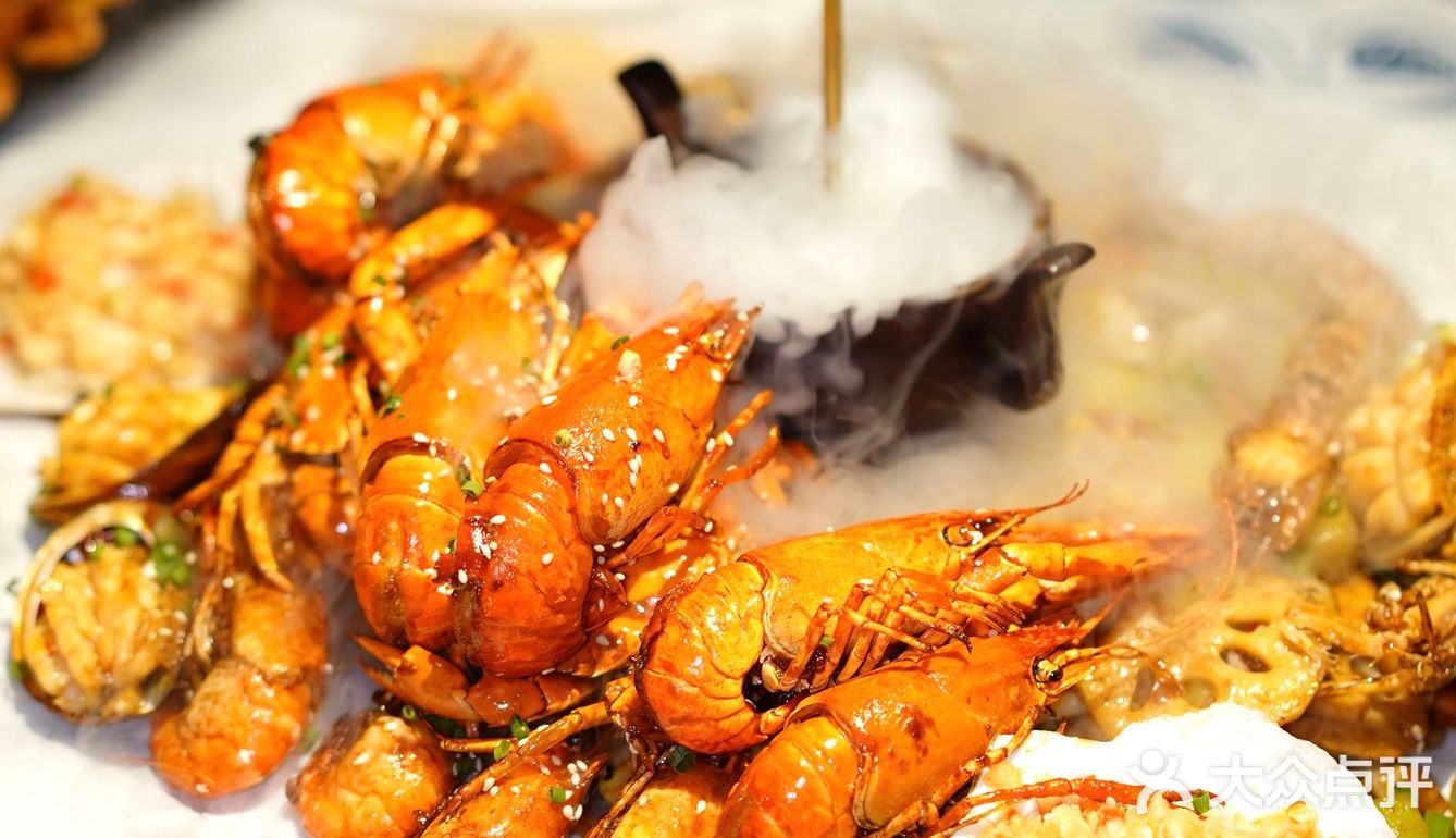 松哥第一铲回归啦😋小澳龙自由太爽了🦞