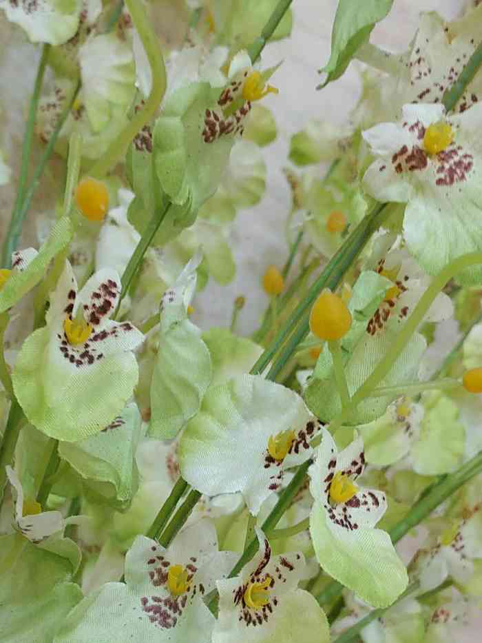 亭亭鲜花店-"特意挑选了满富寓意的鲜花:星芹:高贵,."-大众点评移动版