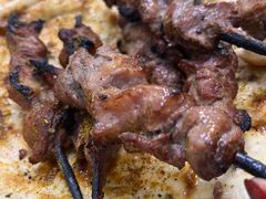 -艾力江和田馕坑烤肉店