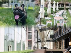 -北京康莱德酒店-Chapter餐厅