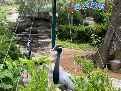 -大连森林动物园