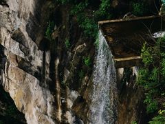 -梦幻奥陶纪景区