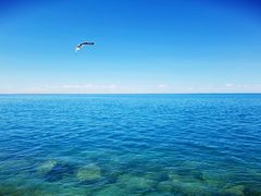 -青海湖国家重点风景名胜区