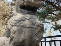 -北陵公园