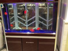 -比格比萨自助(国展店)