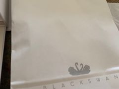 -BLACKSWAN黑天鹅(环球店)