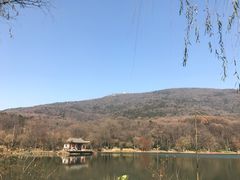 -紫霞湖公园