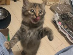 -喜狗宠物生活馆(岳州路店)