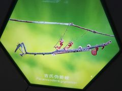 -上海昆虫博物馆