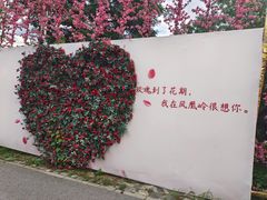 -北京凤凰岭