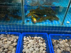 -韩胜·料理级自助烤肉海鲜火锅(财富港店)