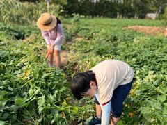 -前小桔亲子创意农场·草莓采摘·露营烧烤