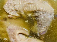 甲氏瓯鸡-甲氏瓯鸡(石横店)