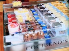 -卡滋贝诺动物奶油生日蛋糕(亚太潮尚店)