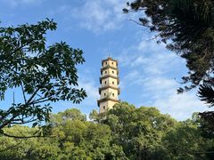 -江心屿景区