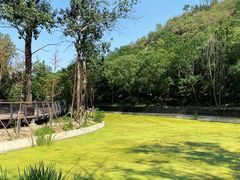 -白水寺森林公园