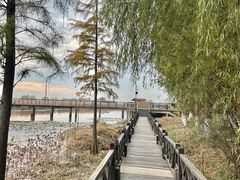 -太湖湖滨国家湿地公园-停车场