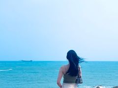 -广东惠东海龟国家级自然保护区