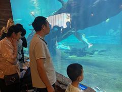 -华夏文旅海洋公园