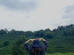 -西湖风景区十里琅珰-五云山